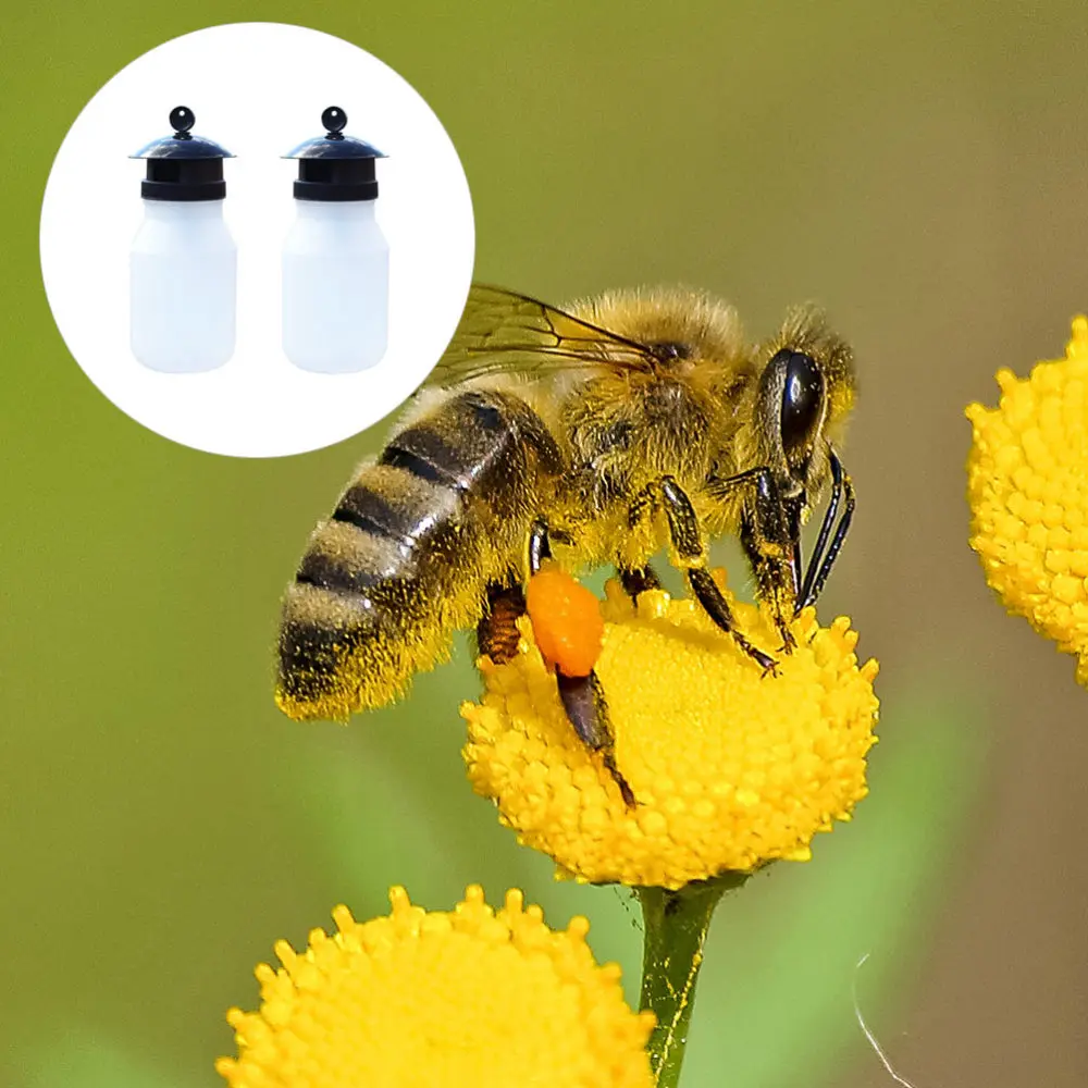 2Pcs White Sticky Trap Gnat Traps Fruit Fly Trap for Garden Outdoor