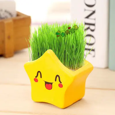 Зеленый DIY комнатный Настольный бонсай мини Гвоздика Лаванда мята Подсолнух Горшечное растение - Цвет: Зеленый