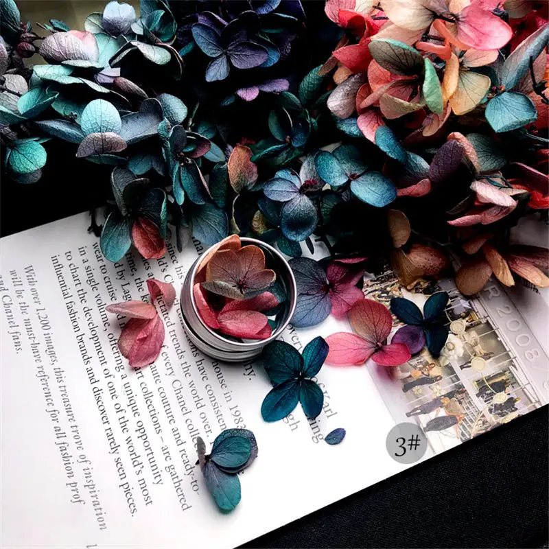 Дизайн ногтей гербарий украшения Маникюр DIY ремесла наклейка с цветком 3D живой цветок набор лепестков для ногтей советы по изготовлению ювелирных изделий