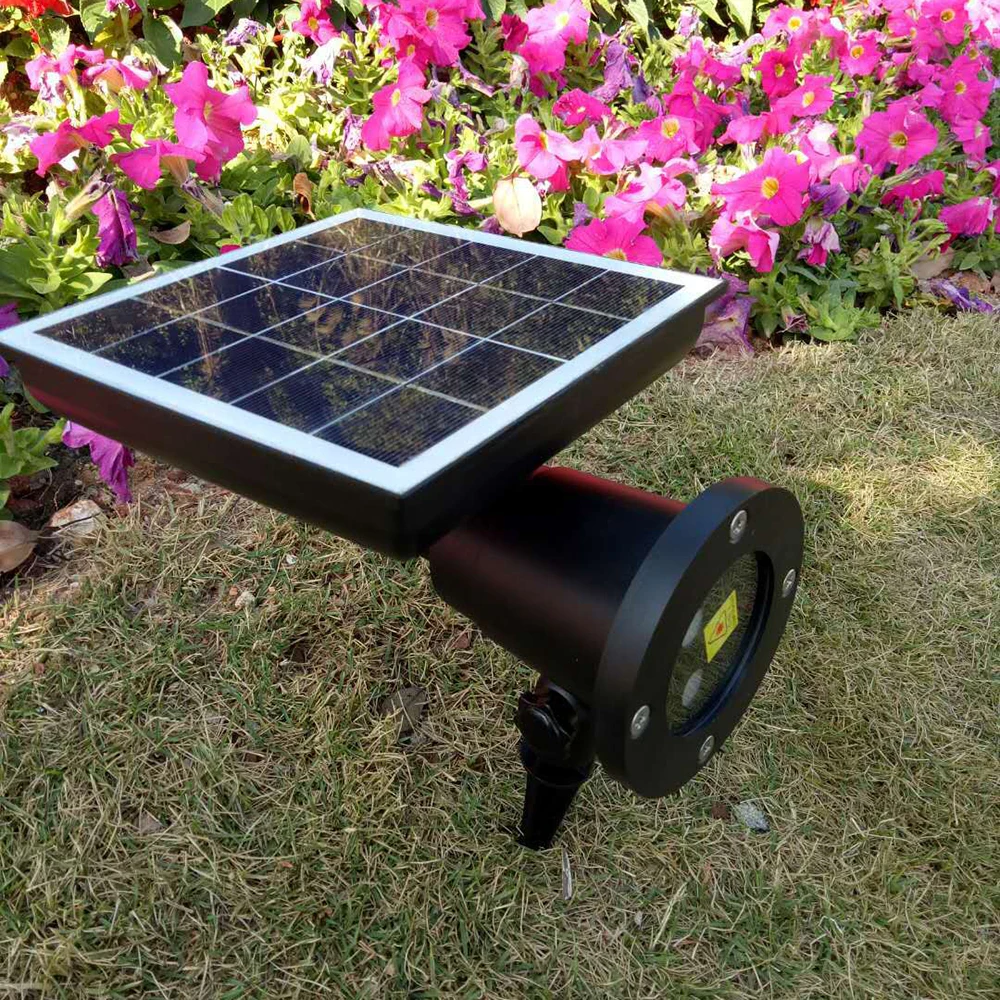 8293307683_1060093685