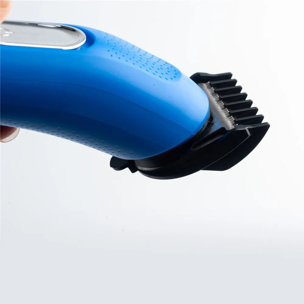 QXH200413084_0617470945514064393