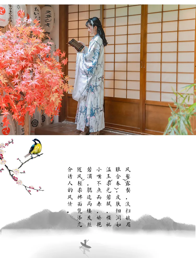 Строгий Повседневный праздничный костюм Hanfu Qin Tang с принтом пейзажа, пальто с большим рукавом и вышивкой+ куртка+ юбка, Женский сценический костюм