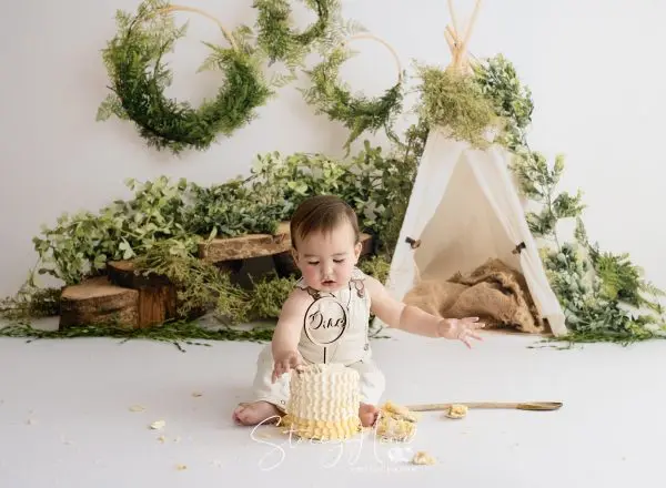 Background Photography Smash Cake Birthday Smash Cake Safari