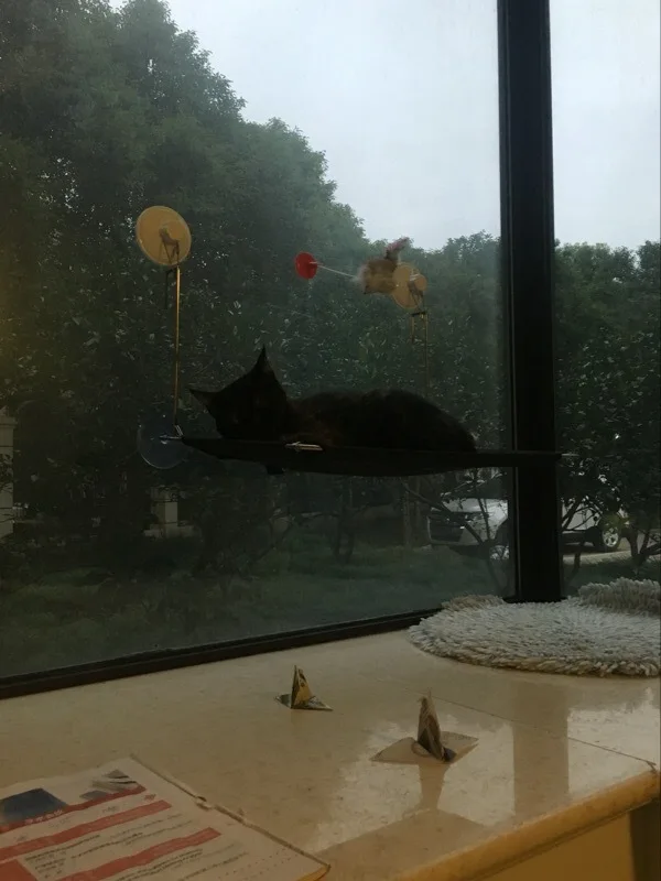 Гамак для питомца кота, подвесная кровать, окно для кошки, солнечное сиденье, удобные мягкие коврики для кошки, кровать, моющиеся съемные товары для домашних животных