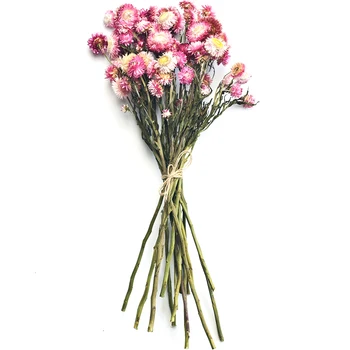 

Wheat Stalk Colorful Chrysanthemum Natural Dry Flowers Real Flowers Environment Creation Garden Style Decorating Daisy Gerbera