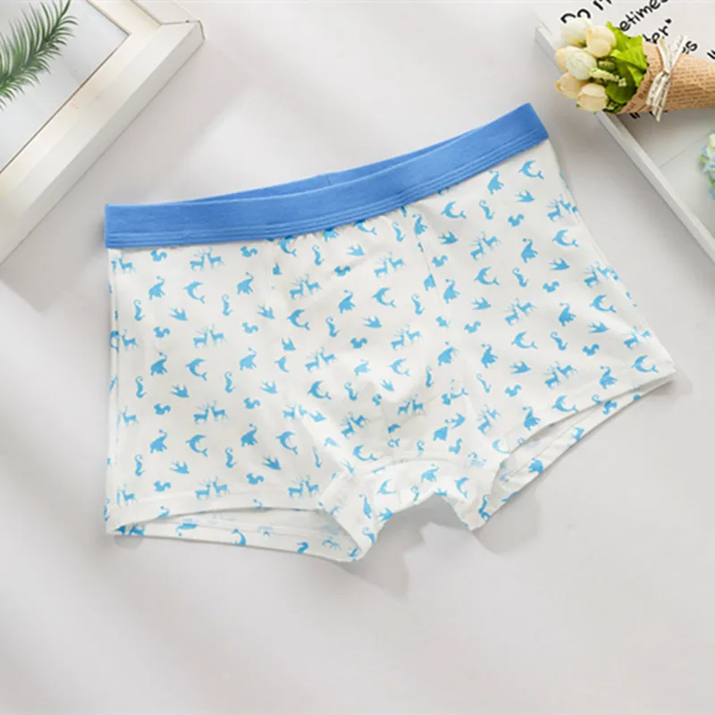 5Pcs/lot Kid Boys Underwear Cartoon dinosaur Baby Panties Cotton Boys Briefs Teenage Panties Children's Boxer Underpants Briefs