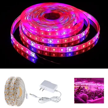 

Plant Vegetable Growth Light 3m Waterproof Full-Spectrum LED Light Stripe 12v Flower Plant Lamp Used in Greenhouse Grow in Water