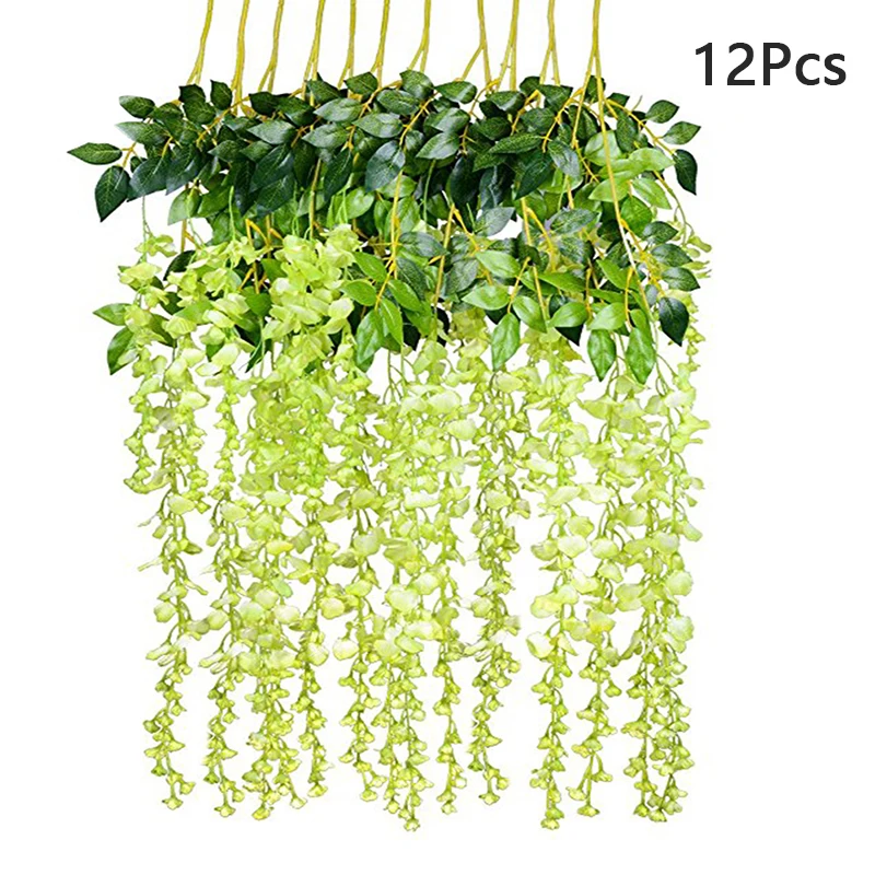 Плющ глициния. Глициния ампельная. Глициния асикага. Ампельные комнатные растения. Глициния китайская.