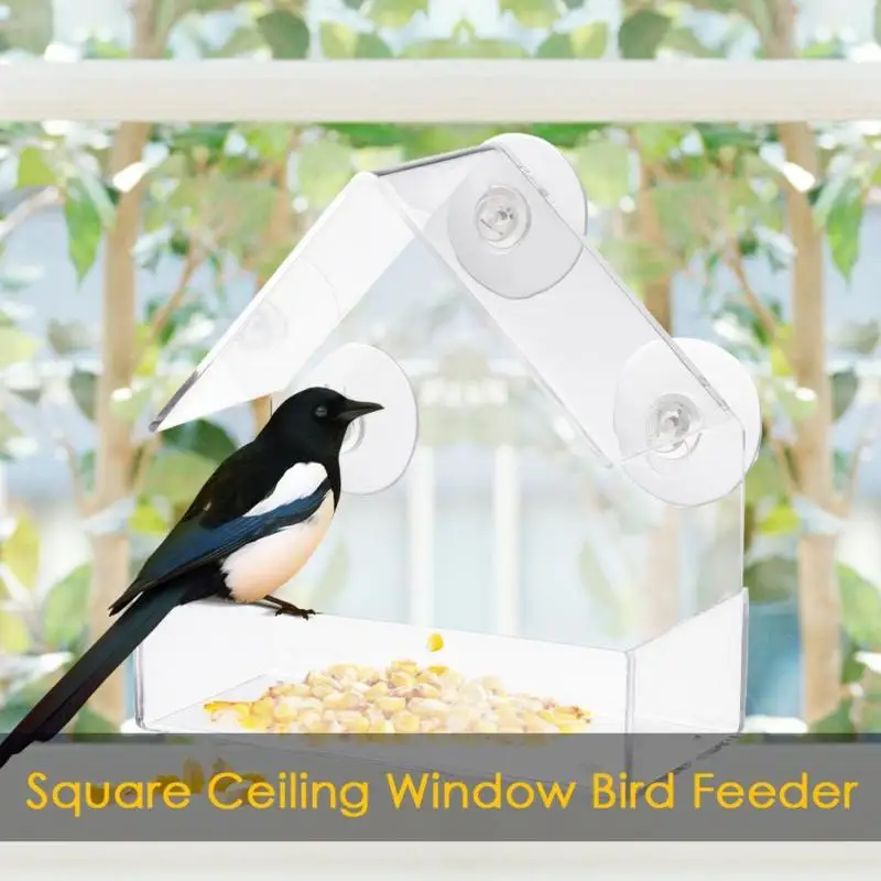 Creative Suction Pet Bird Feeder Acrylic Clear House Window Bird Feeder Birdhouse With Suction Outdoor Garden Feeding