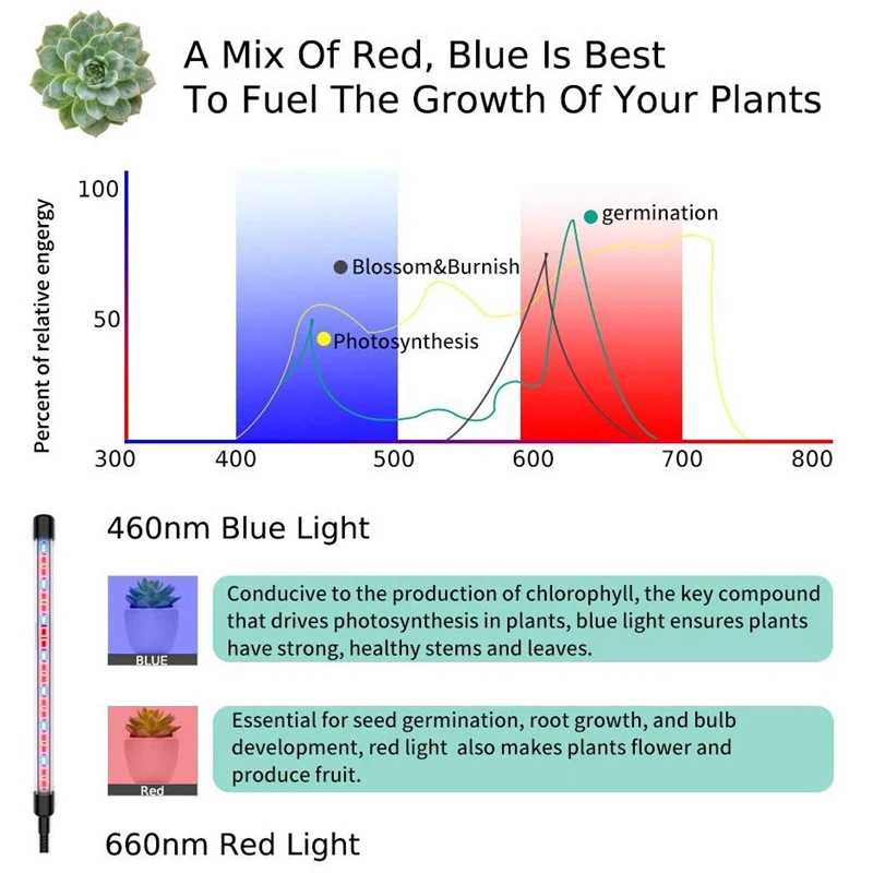 LED Grow Light 5V USB Fitolampy LED Full Spectrum Phyto Lamp Phyto-Lamp For Indoor Vegetable Flower Plant Tent Box Fitolamp