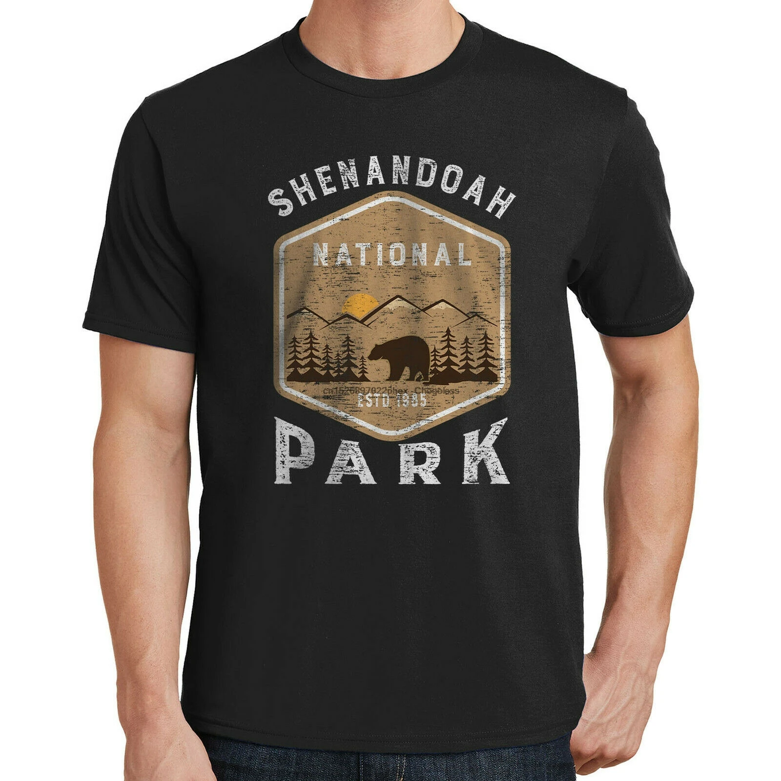 Футболка в национальном парке Shenandoah 4034 | Мужская одежда