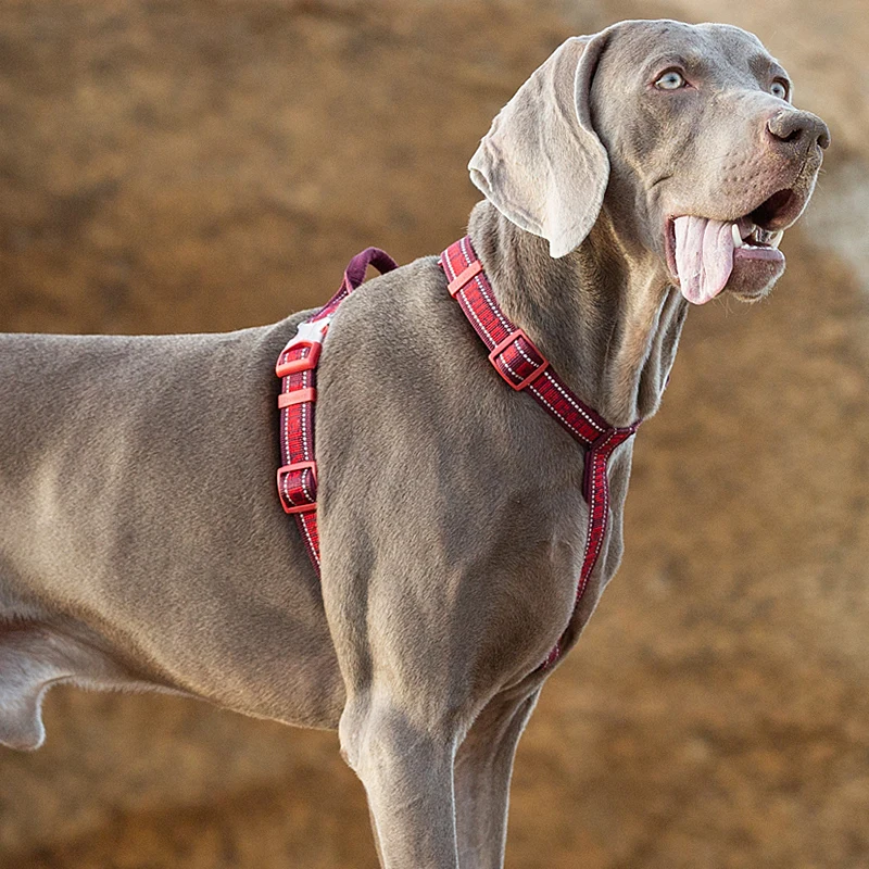 truelove pet arnês nenhum serviço tático tração pet elevador malha respirável reflexivo esporte acolchoado arnês cão colete