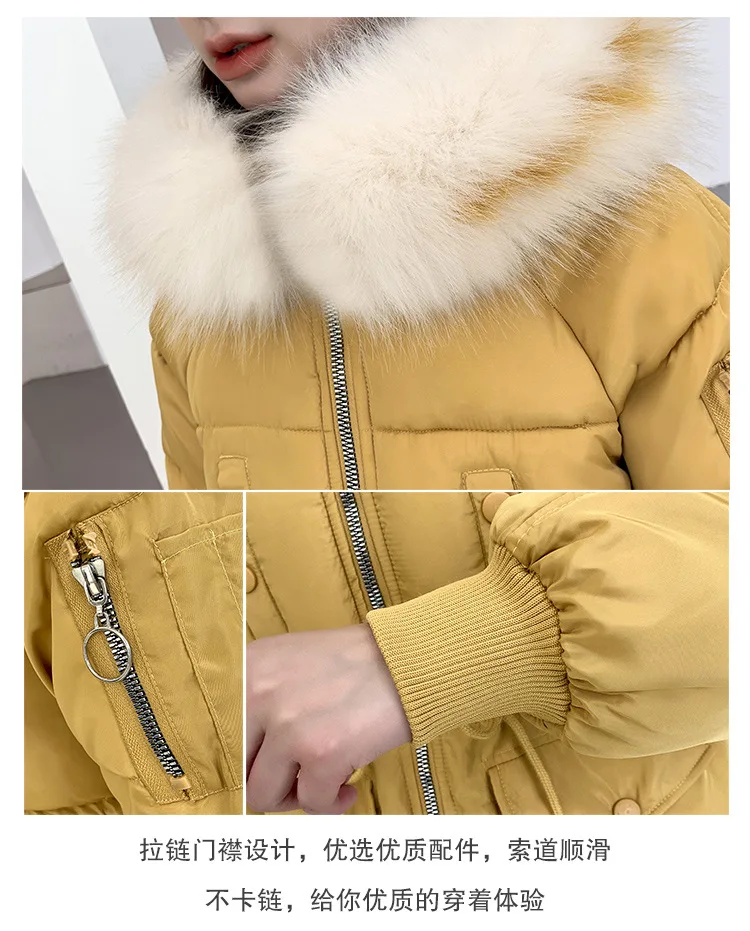 Cotton_10.jpg