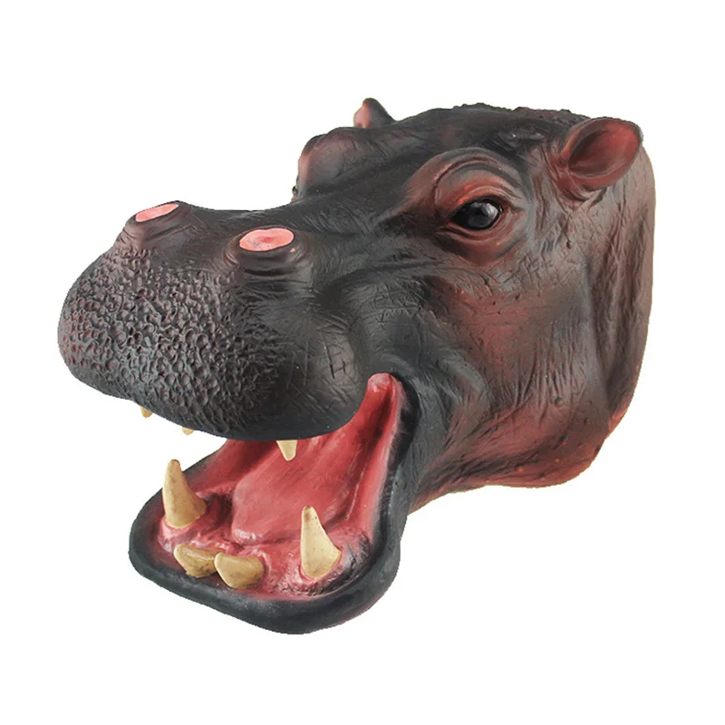Hippopotamus-0