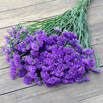 

Natural Fresh Preserved Forget-Me-Not Dried Flowers Real Forever Lover Grass Branch For Home Decoration