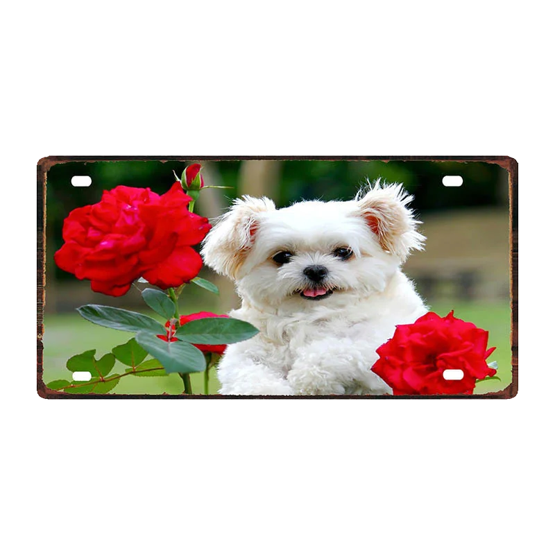 Кошка Собака 30X15 см номерной знак животных металлический знак для Wall Art Pet Shop Ресторан Хоум Винтаж декор 30X15 см DDC-0019A - Цвет: DC-0021