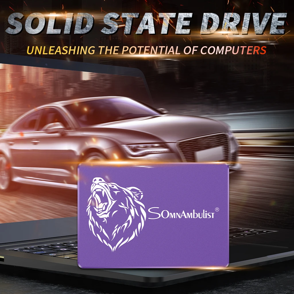 Purple bear head 120gb 240gb 480gb 960gb 2tb solid state drive SATA3 desktop notebook SSD