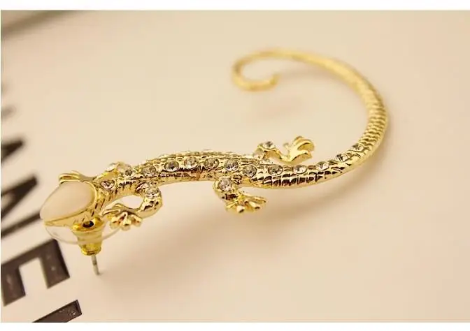 Корейский преувеличенный Bijoux серьга Ящерица серьги для женщин с гекконом со