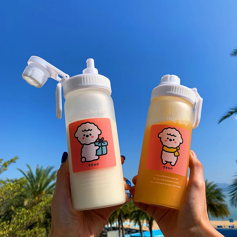 500ml Cute Korean Frosted Glass Water Bottle With Straw Portable Sport Drinking Water Bottles Large Capacity Water Cup For Girl Water Bottles Aliexpress