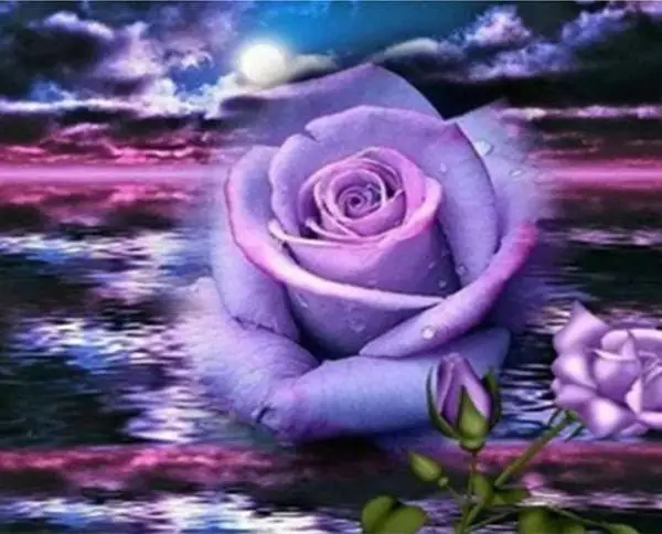 

DIY Diamond Embroidery Purple rose Square Pattern Rhinestone Sets Diamond Painting Cross Stitch Wall Decor Needlework