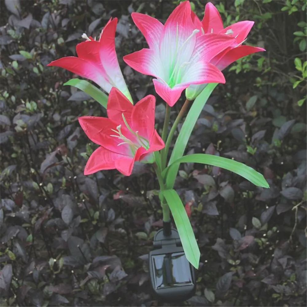 QQ图片20190927113418_副本