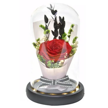 

Forever Immortal Flower Rose Led Lights in Glass e Pine Base for Valentine's Day, Mothers Day, Anniversary Gifts