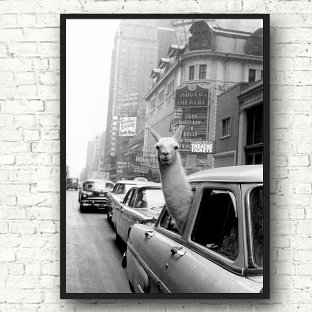 

Llama in a New York City taxi Wall Art Canvas Painting Nordic Posters And Prints Animal Wall Pictures For Living Room Home Decor