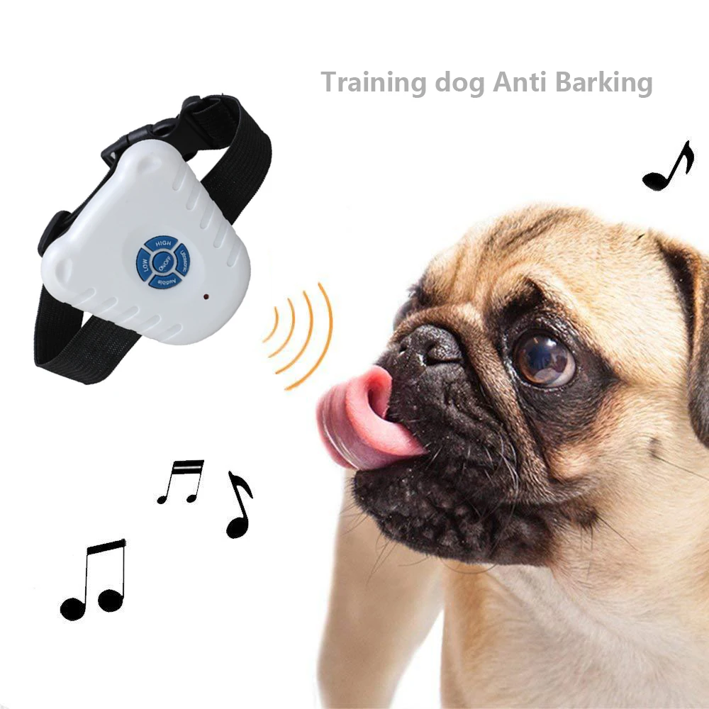 shock collar for pugs