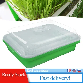 

Sprouts Planting Plate with Moisturizing Insulation Cover Double Encryption Seedling Plate Sprouts Multi-function Plate Growing