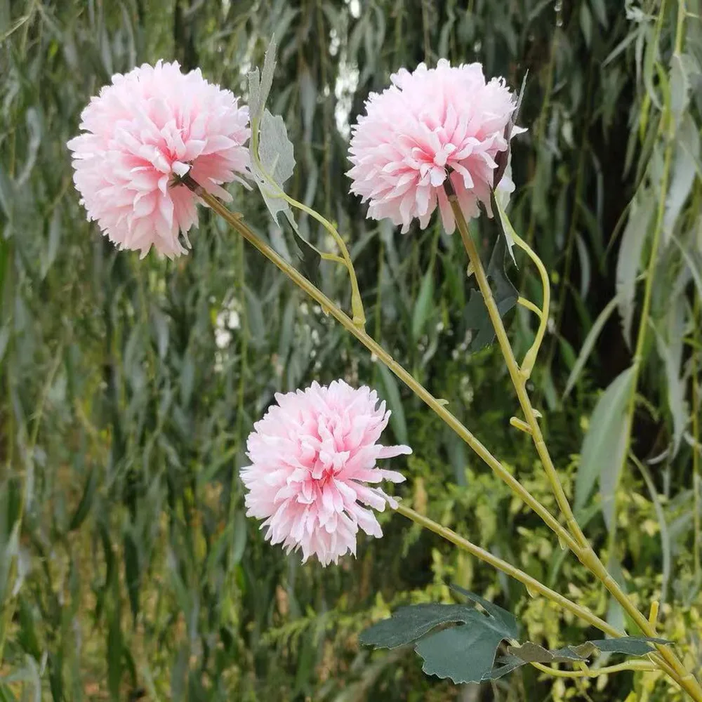 微信图片_20191019193413_副本
