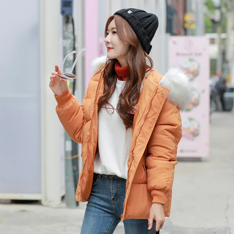 Новое поступление пуховая парка зима 2019 новая зимняя куртка с капюшоном стеганая