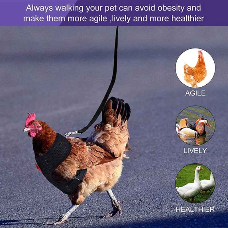 Nlager Duck Harness Hen Size with Matching Belt Adjustable Duck Harness with 4ft Matching Leash for Chicken Hen Pets Training Walking for Animal Blue-XS XS