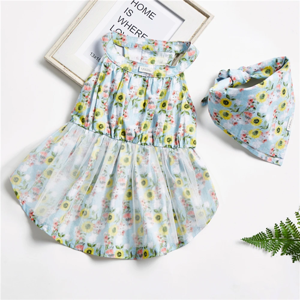 dog dress green