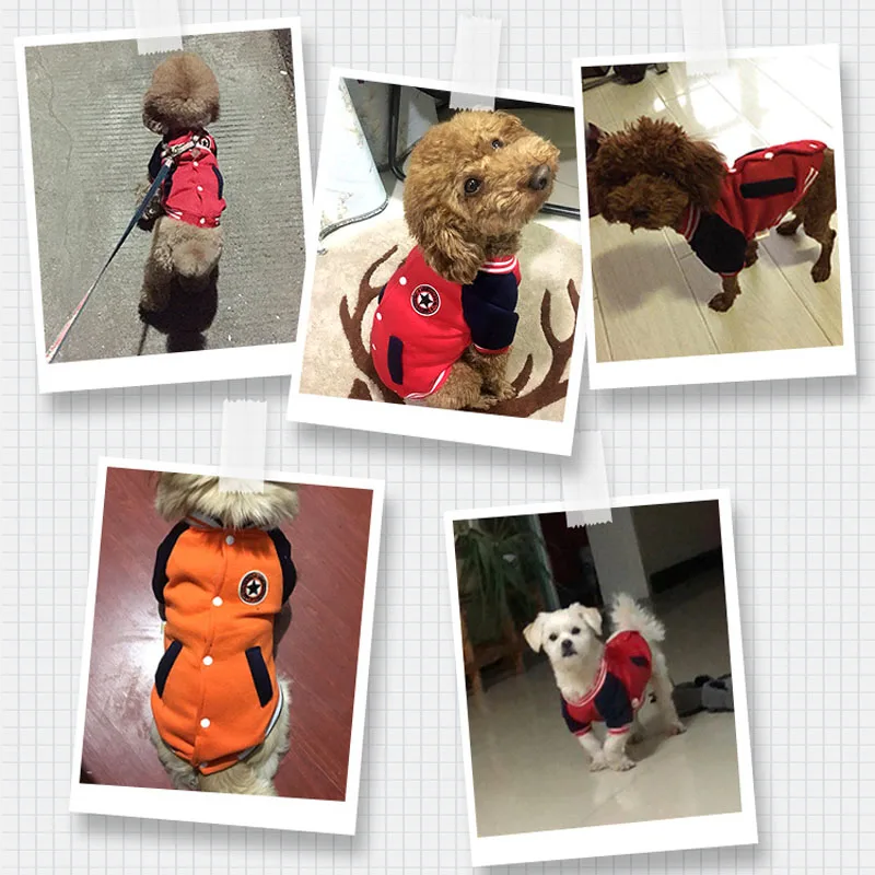 Одежда для собак abrlo, зимняя теплая бейсбольная форма для маленьких и средних собак, толстовки, пальто для собак, куртка для чихуахуа, одежда для щенков