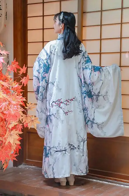 Строгий Повседневный праздничный костюм Hanfu Qin Tang с принтом пейзажа, пальто с большим рукавом и вышивкой+ куртка+ юбка, Женский сценический костюм
