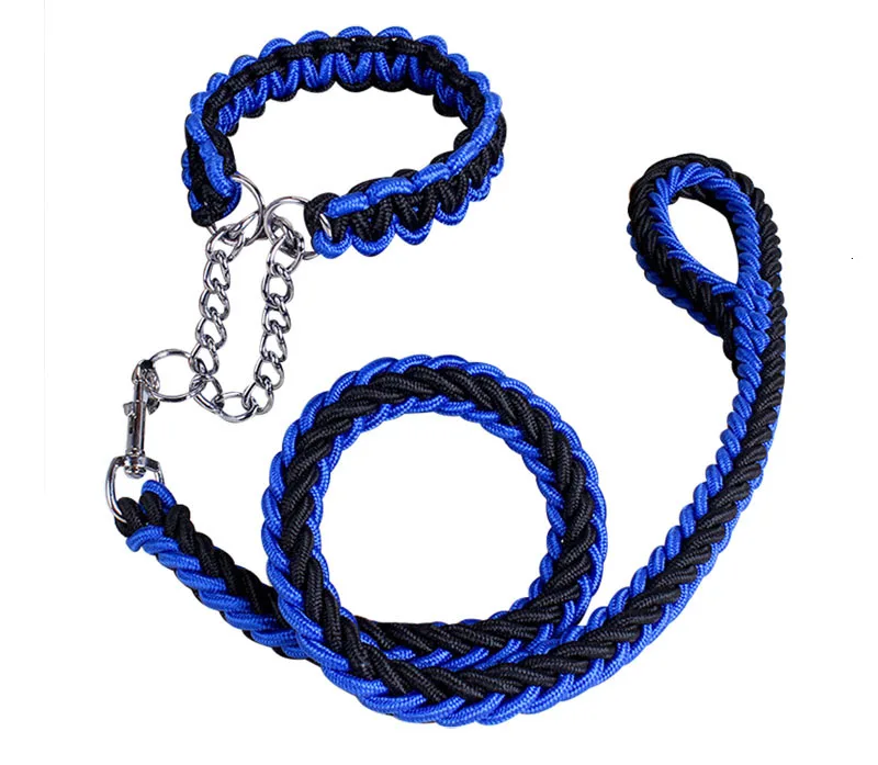 dog collar leash