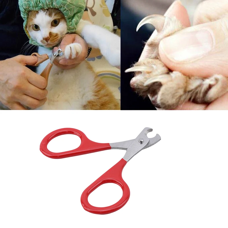 Tijeras para uñas profesionales para gatos, herramientas de cuidado de Gato, productos para el cuidado de mascotas, Herramientas de limpieza de uñas