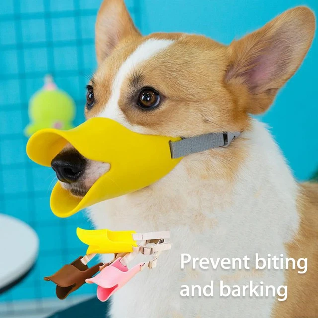 Lustige Hund Maulkorb Silikon Ente Maulkorb Maske für Hunde Anti Biss Stopp  Bellen Pet Mund Muzzles Pet Zubehör - AliExpress