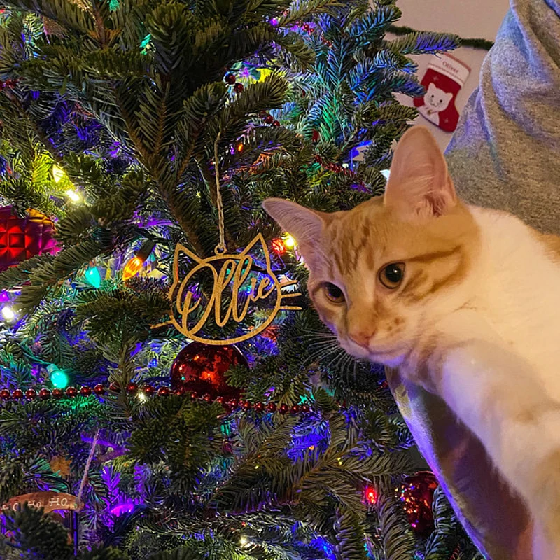 iap_640x640.2716699036_d5fm531b