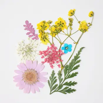 

1 Packet ( 7 PCs/Packet) Colorful Real Dried Flower For Jewelry Making Resin Craft Filling Material 3.8cm x 2.5cm-0.7cm x 0.7cm