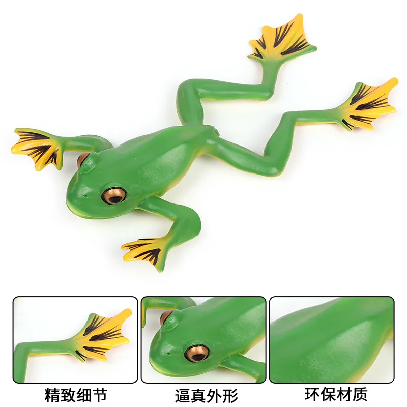 

Children Cognitive Model Amphibious Animal Model Frog Tree Frog Toad Wild Animal Model Toy Decoration