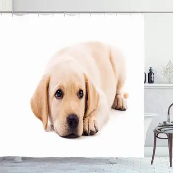 

Shower Curtain 72x72 Puppy Cute Pet Little Yellow Baby Labrador Sad Animals Wildlife Lab White Animal Afraid Dog Studio