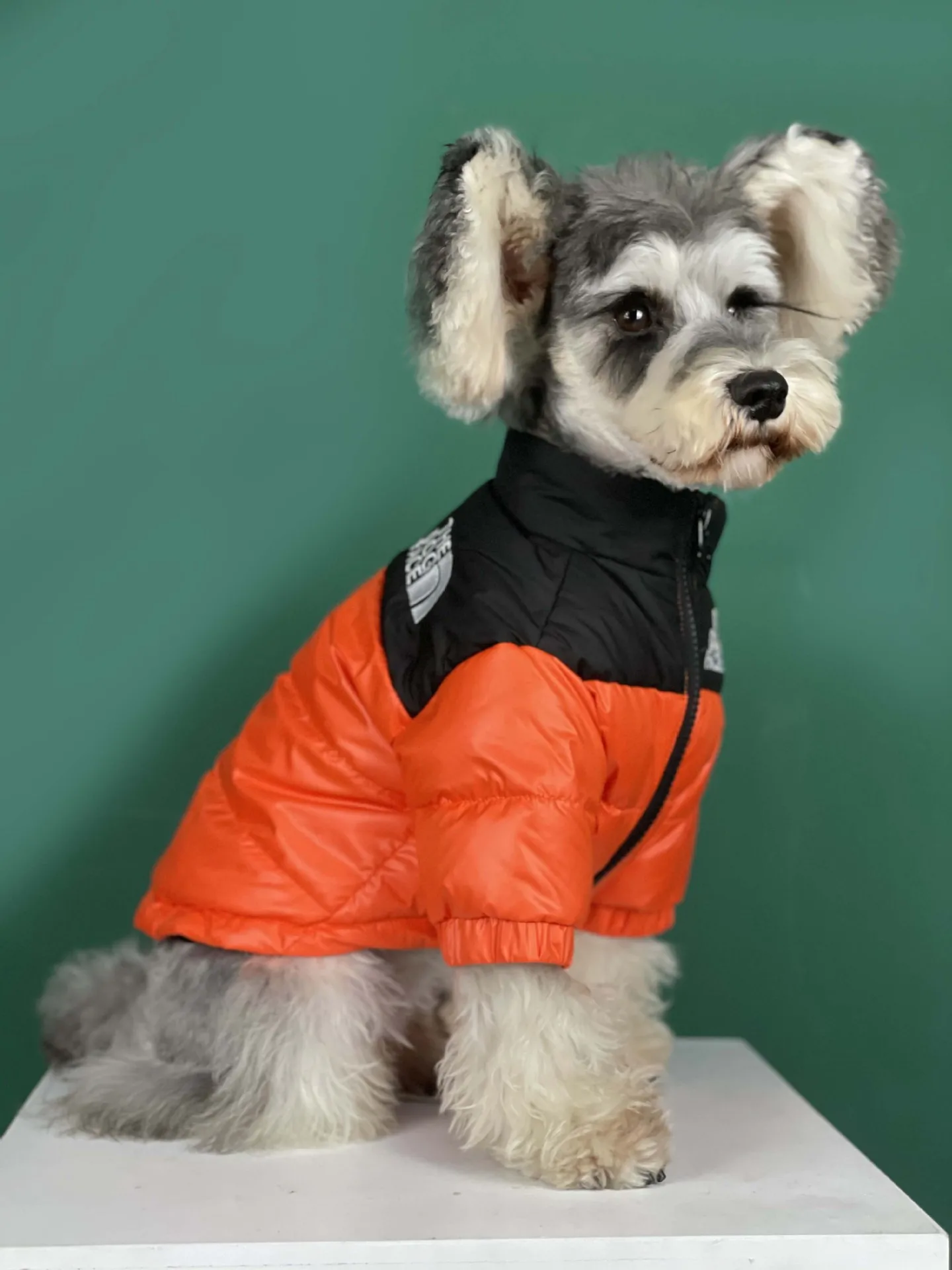 The Dog Face Winter Pet Dog Down Jacket Clothes Warm Thick Stitching ...