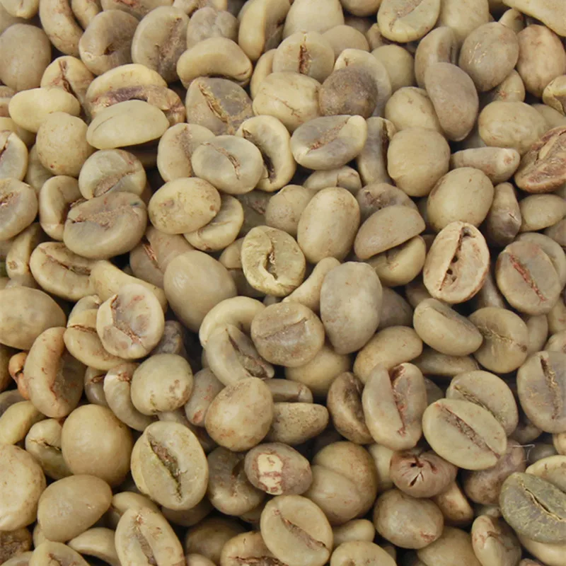500g High Quality Vietnam Vietnamese Robusta (Coffea canephora )Green