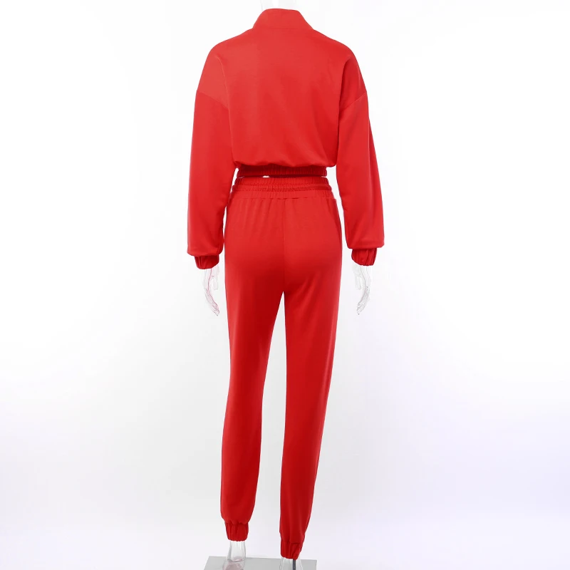 WannaThis 2 шт. наборы для женщин уличная одежда с длинным рукавом на молнии Высокий воротник Топ и леггинсы брюки свободные повседневные Осенние новые женские наборы