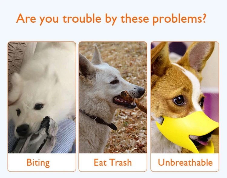 3 - 21302100420_20982621