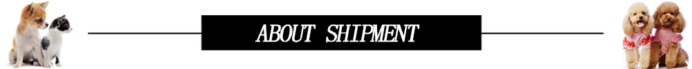 ABOUT-SHIPMENT