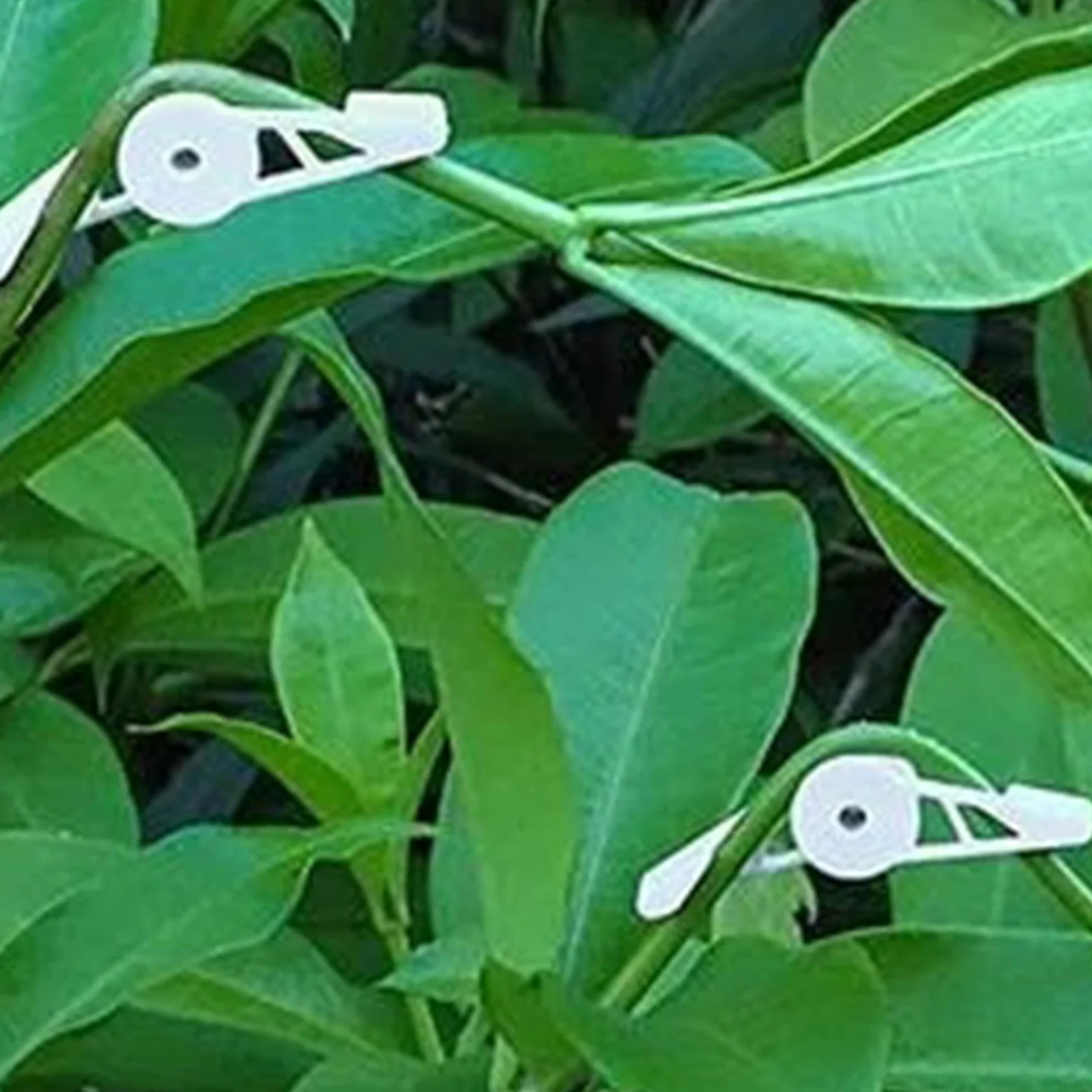 Plant Bender Garden Supplies 10pcs Adjustable 360 Degrees Branch Benders Plant Bender Clips Planter Holder Tools
