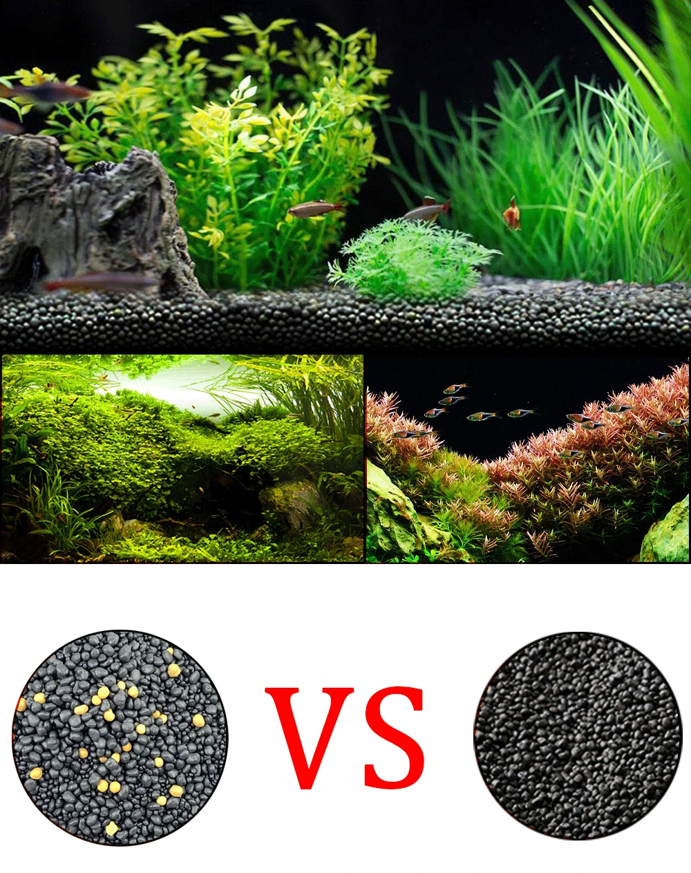 Hongyi – Support De Plantation Pour Aquarium, Sable, Boue D'engrais De Sol  Pour Aquarium, Soins Des Plantes, Eau Douce - Aquarium Substrat - AliExpress