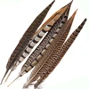 10Pcs/Lot Natural Plume Lady Amherst Pheasant Feathers For Crafts Party Decoration Ringneck Pheasant Tail Feathers Wedding DIY ► Photo 2/6